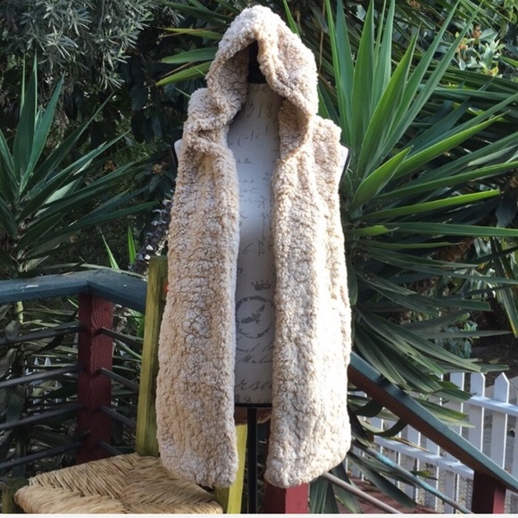 🚫Sold🚫New! Cozy Faux Fur Hoodie Vest - Picture 2 of 5